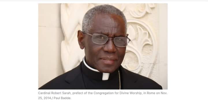 "Cardinal cārá kaq vsvng jvk hvngí kwézìt lvjang nø dvbanbøā we Shvngkà"